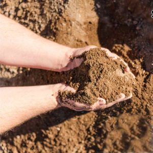 topsoil madras
